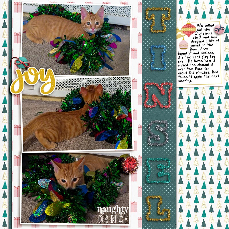 2023 Ares Tinsel
