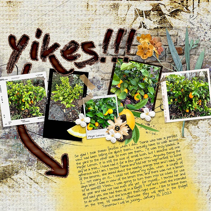 2023-Lemons-Monica-Slow-Scrap