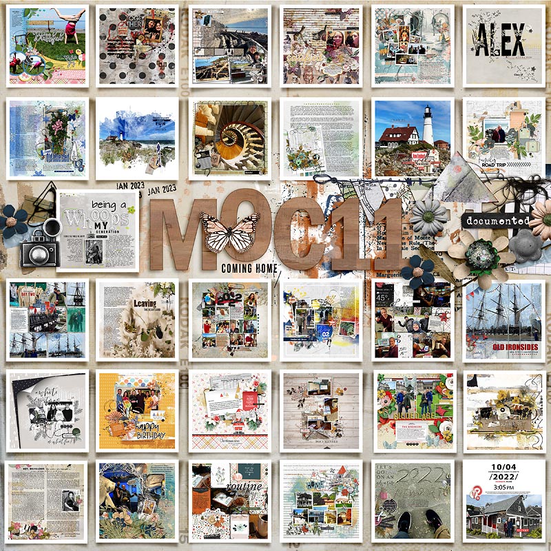 2023-MOC-11-Collage