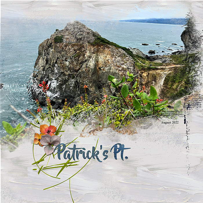 2023-MOCDay-8-Technique-2022-Patricks-Point-copy