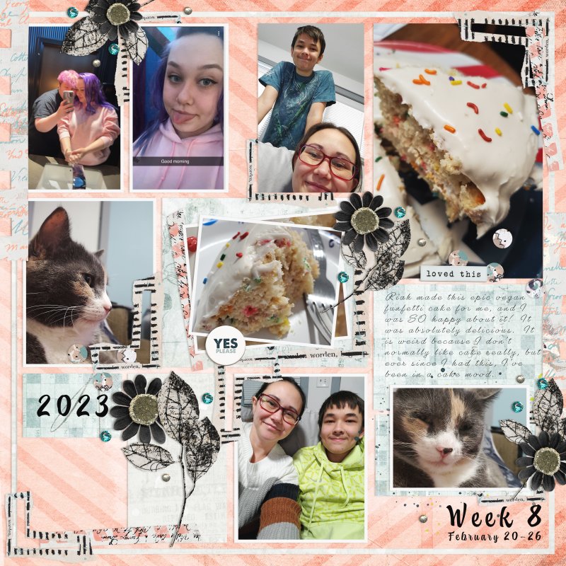 2023.week8.feb20.feb26
