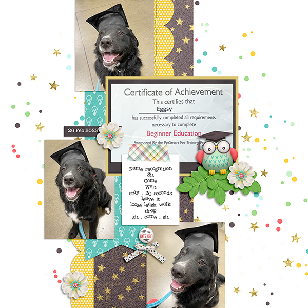 2023_02-26 Graduate