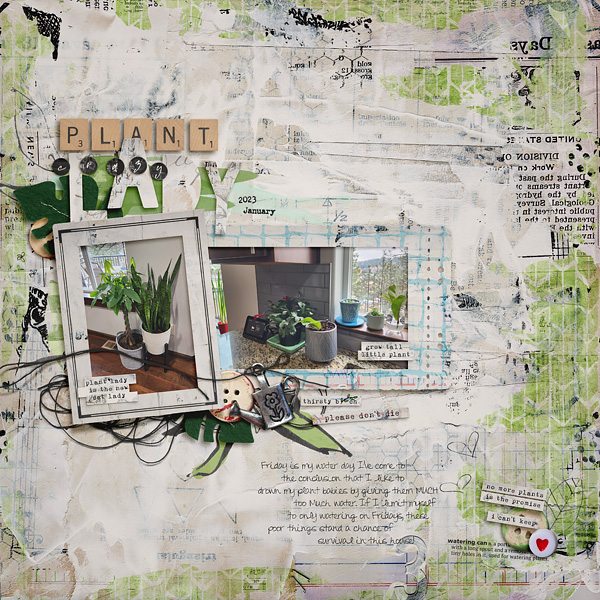 2023_1_Crazy Plant Lady