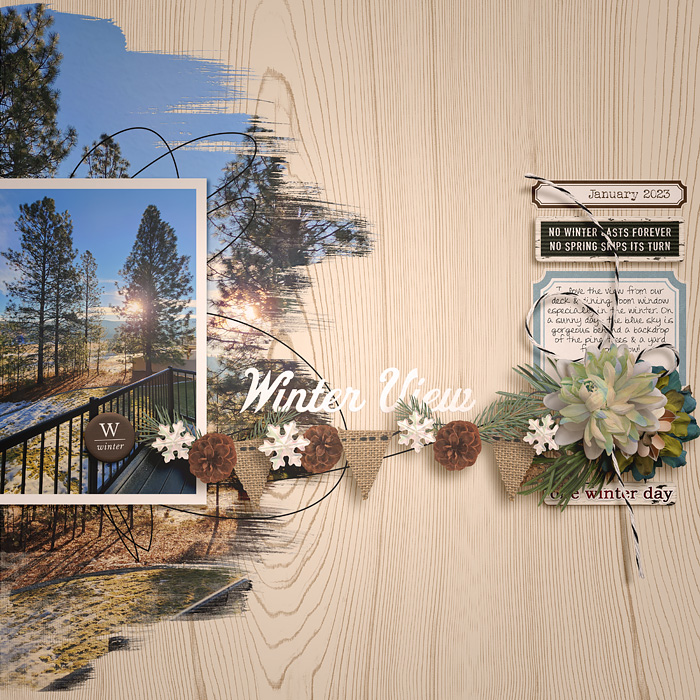 2023_1_Winter View