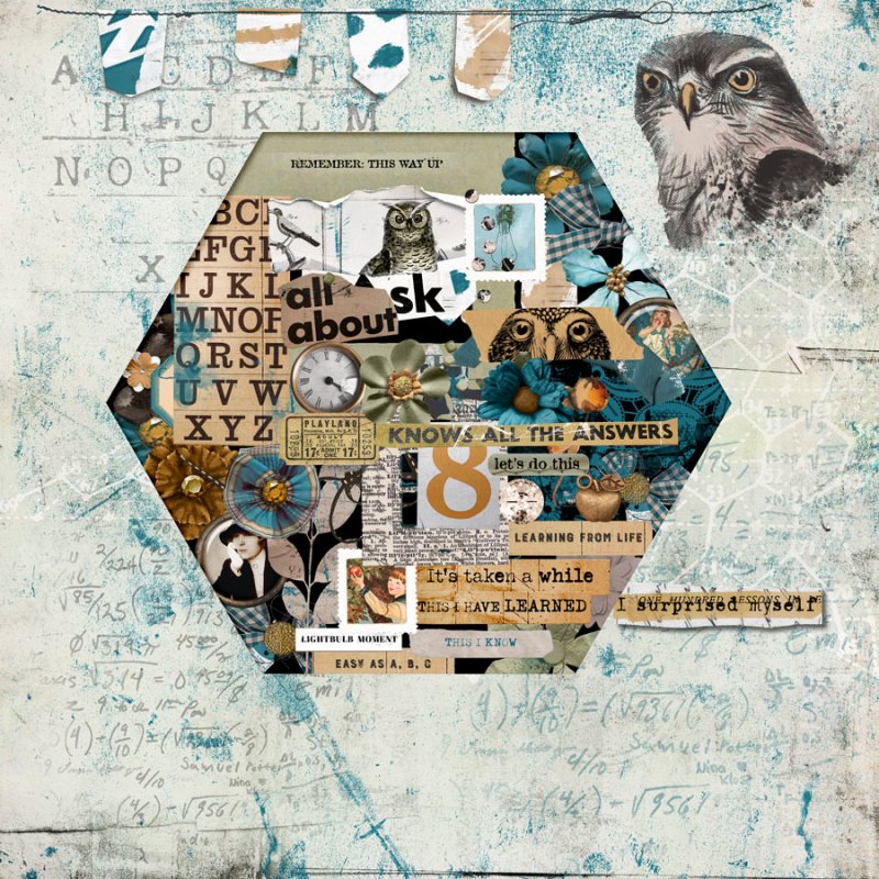 2024-02-TLP-Random-Challenge