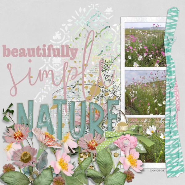 2024-03-18_Nature