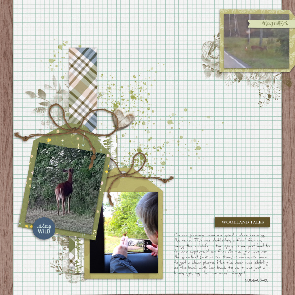 2024-05-30_WoodlandTales