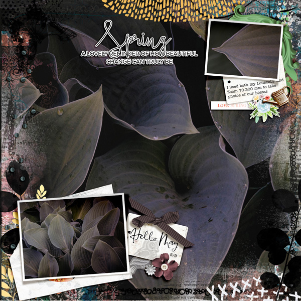 2024-5-9-hostas-_600web