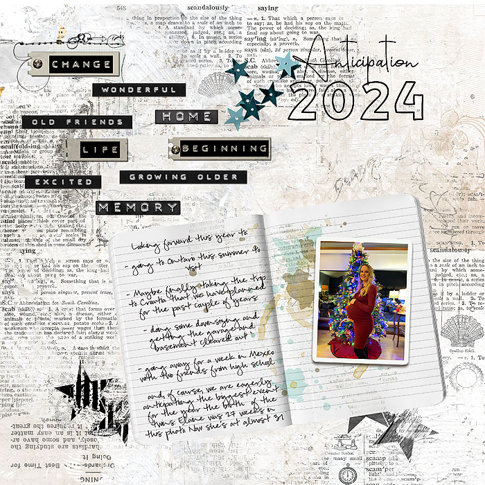 2024-Anticipation  - Day 7