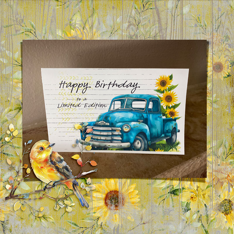 2024-Dave-Birthday-Card-Limited-Edition