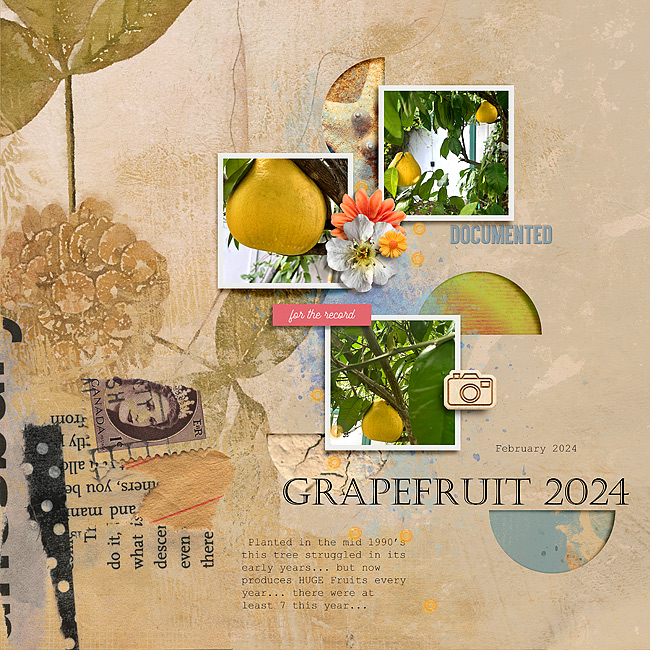 2024-Grapefruit
