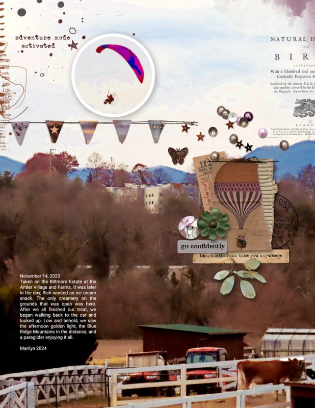 2024-MOC-22_Large-Photo_Pop-Out_web