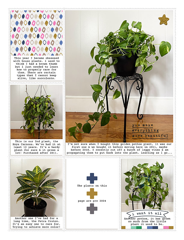 2024 plants right