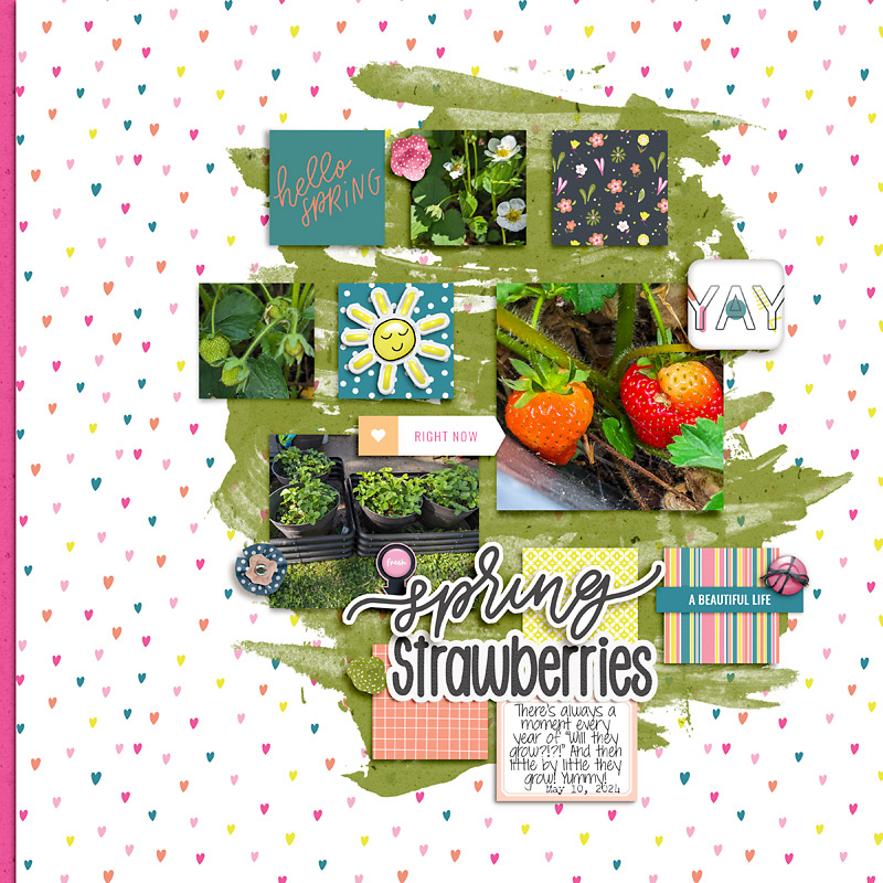 2024 Strawberries