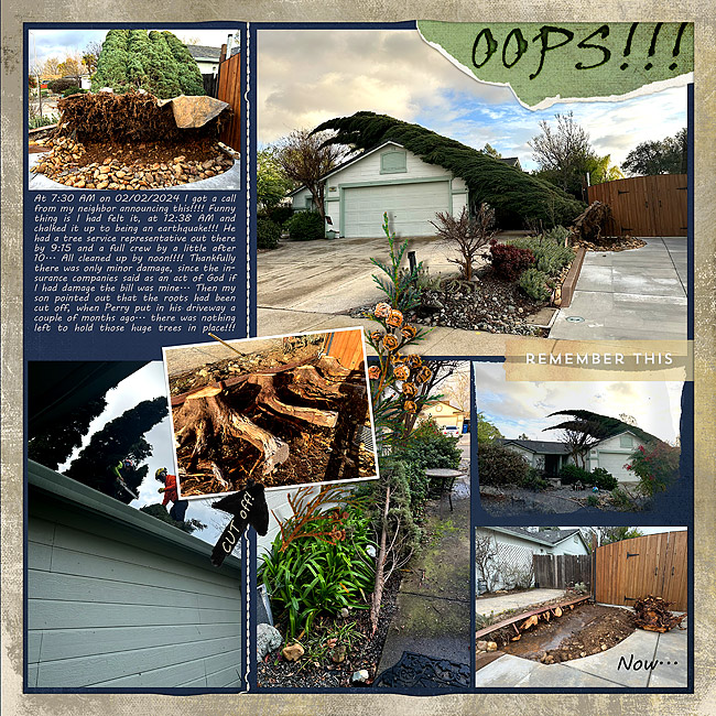 2024-The-end-of-the-cypress-trees-v2