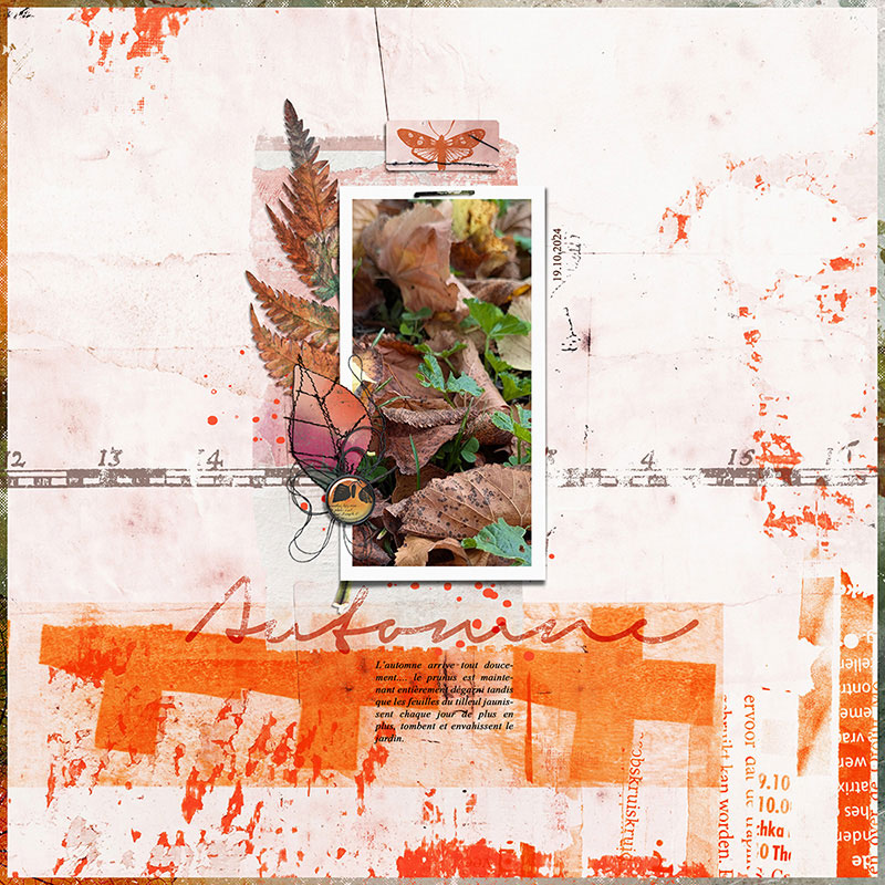 20241019-Automne