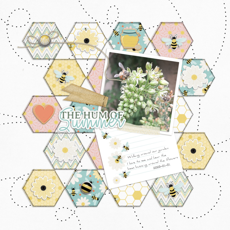2025-01-31_TheHumOfSummer