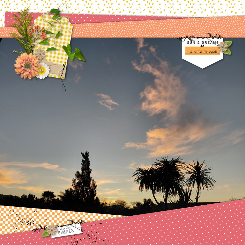 2025-08-03_Sun&Dreams