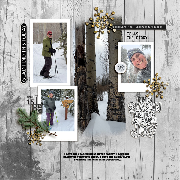 2025-3-15-snow-shoeing-frisco_600web