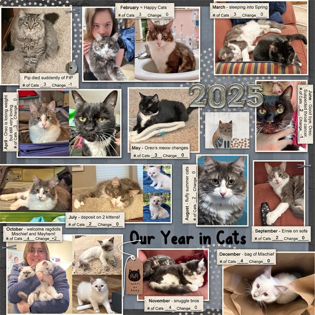 2025 a year in cats MOC.jpg