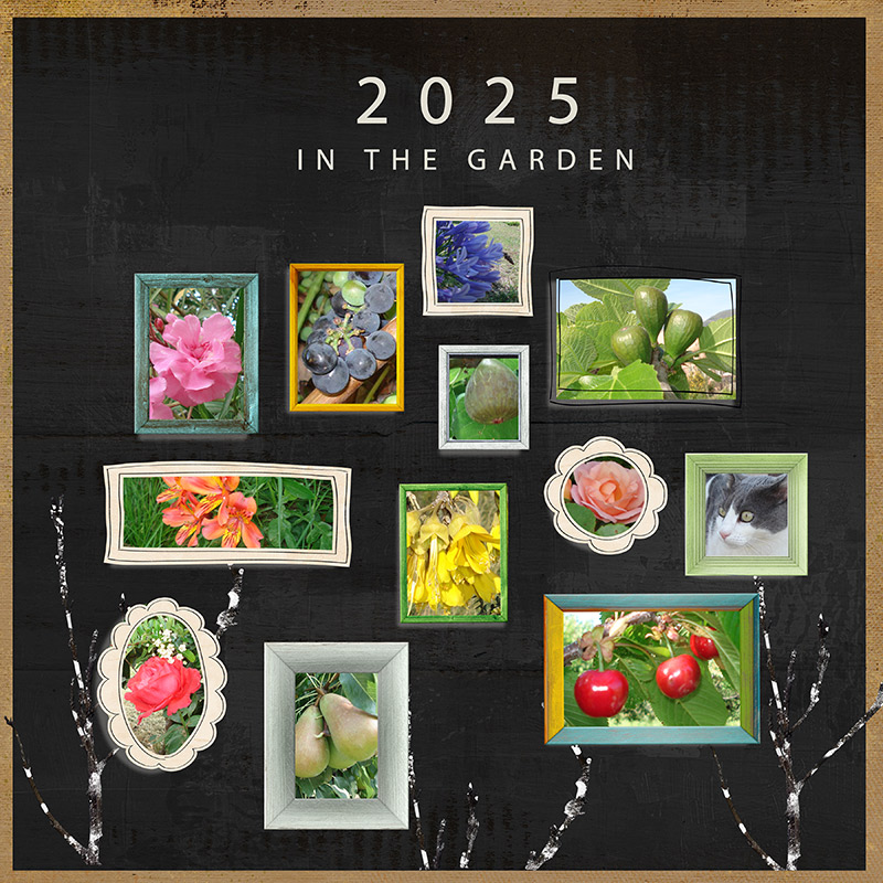 2025 in the garden