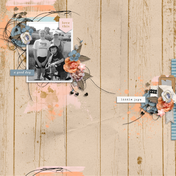 2025 January Scraplift
