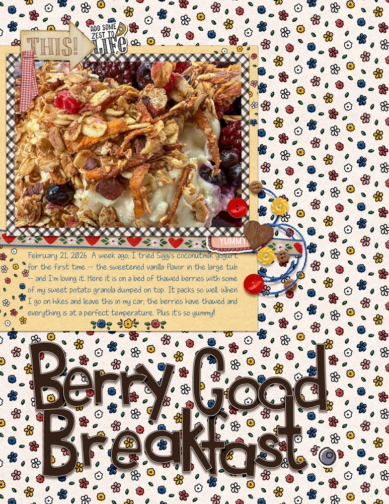 2026-02-23-speed-scrap-granola.jpg