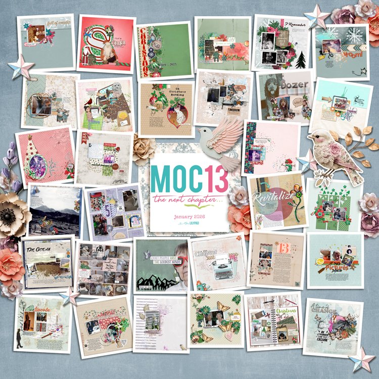 2026-collage.jpg
