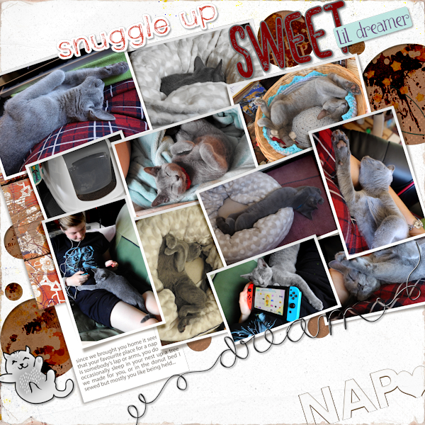 20_cat Naps1