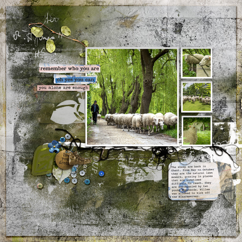 21-05_FDD-may-challenge