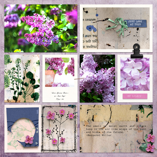 21-05_TLP_May-BYOCcChallenge