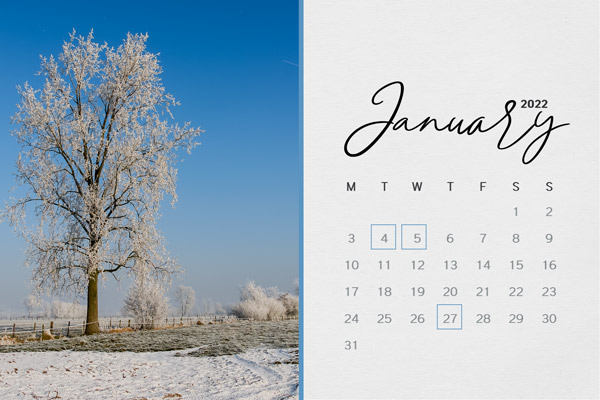 21-12_Soco_calendar-2022_Jan