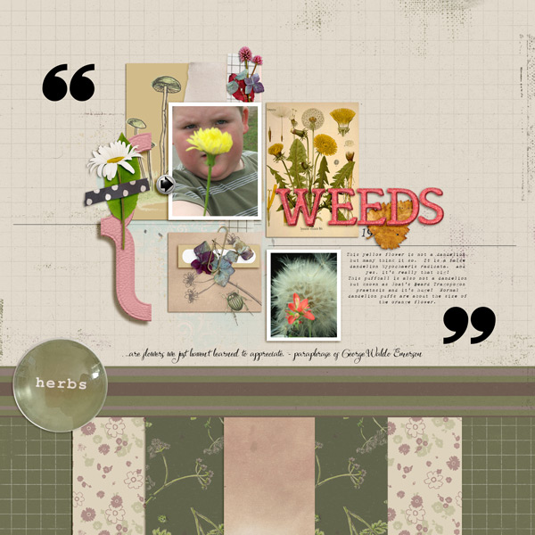 21-Jan-2020-Organic-Botanicals