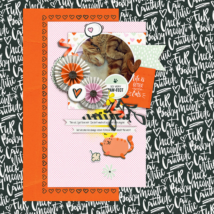 21 - Life Is Better With Cats