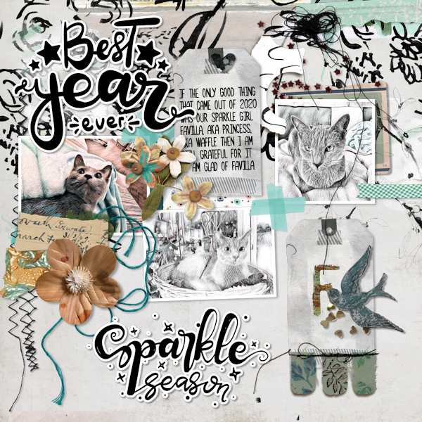 210115_sparkle Cat