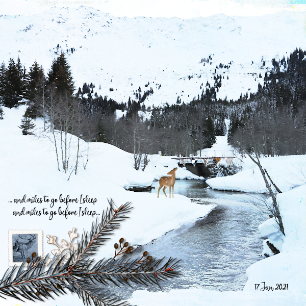210117_ski River