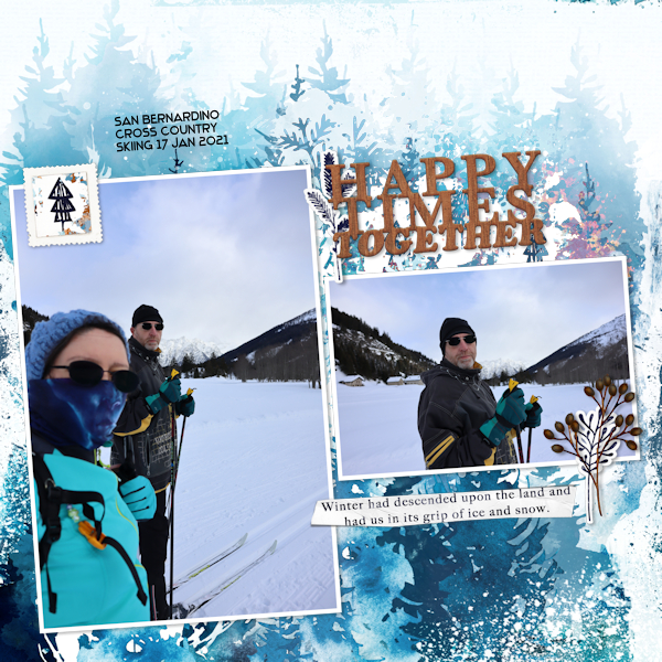 210117_ski SB
