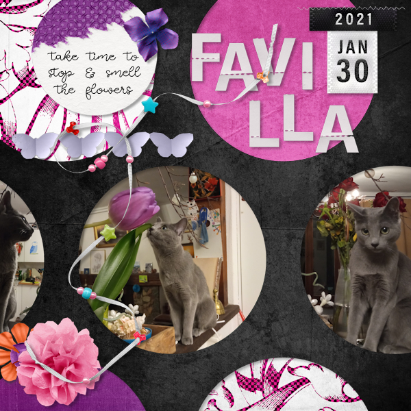 210130_cat Flower