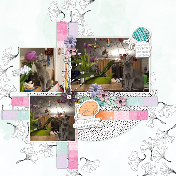 210130_cat Whimsy