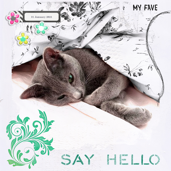 210131_cat Hello