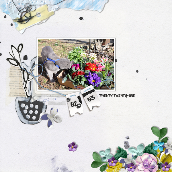 210302_cat Flowers