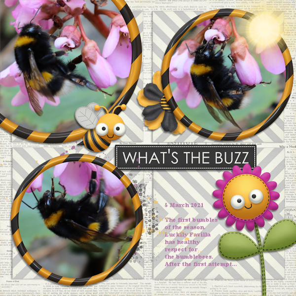 210305_bumblebee