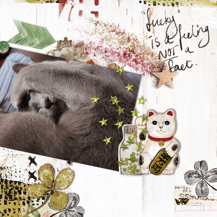 210319_cat Lucky