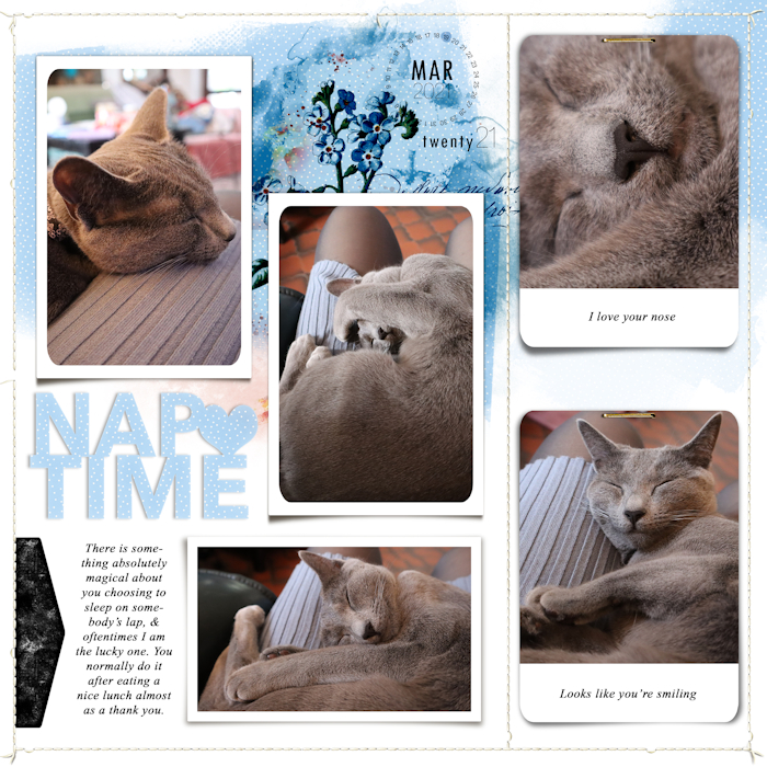 210319_cat Nap