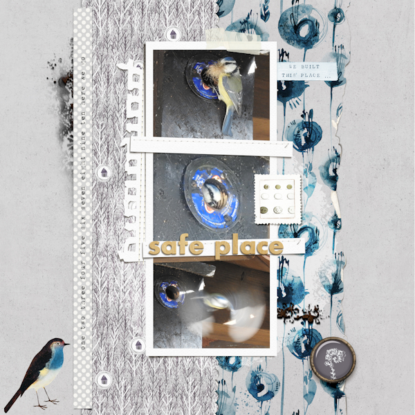 210401_bluetit