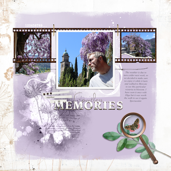 210404_Wisteria