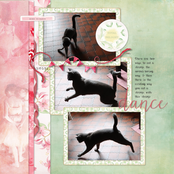 210505_cat Dance