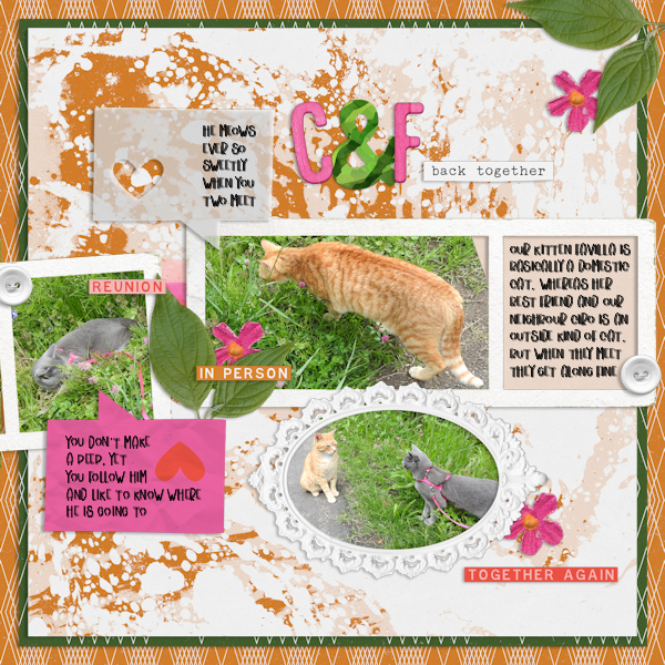 210515_ciro Cat