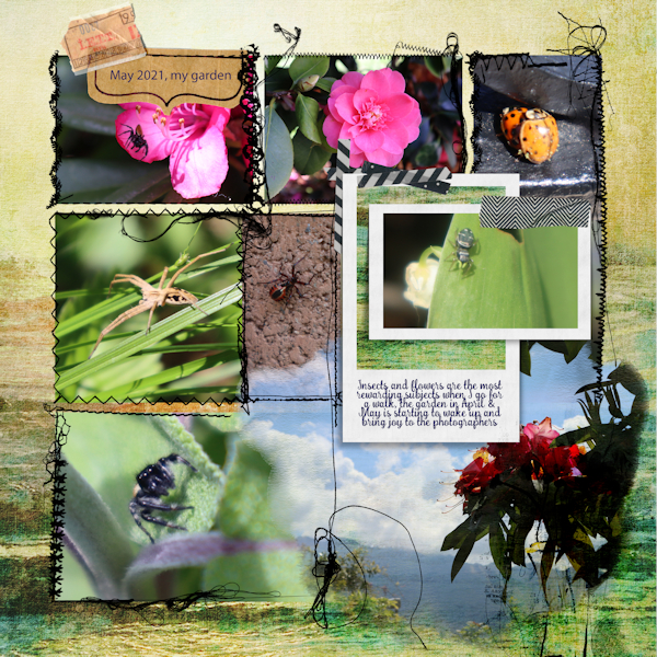 2105_garden