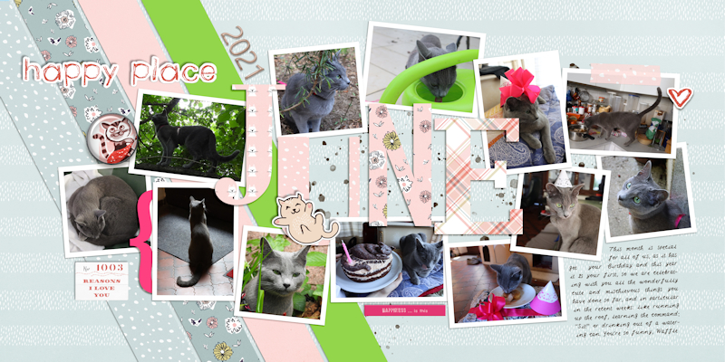 2106 Jun Cat Fun